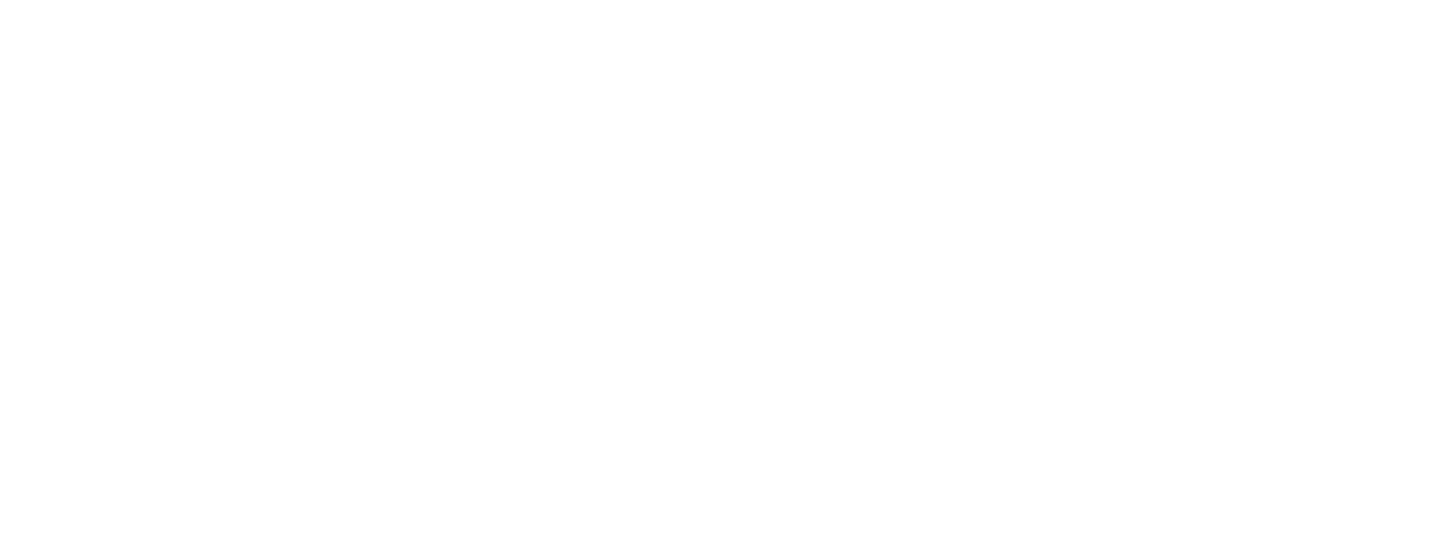 АИС Сокол